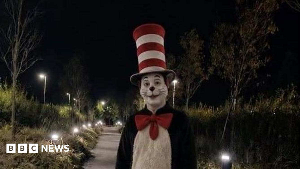 Viral 'Cat in the Hat' TikTok trend sparks fun fake videos but also real fear