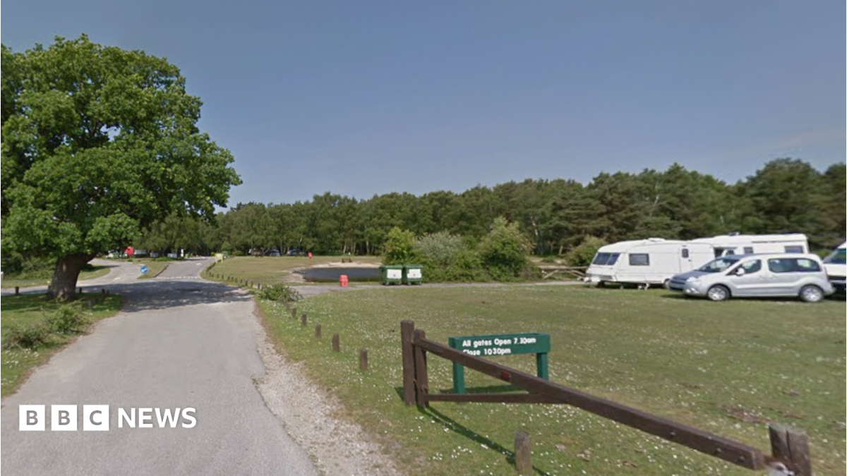 Pony warning after girl injured at forest campsite