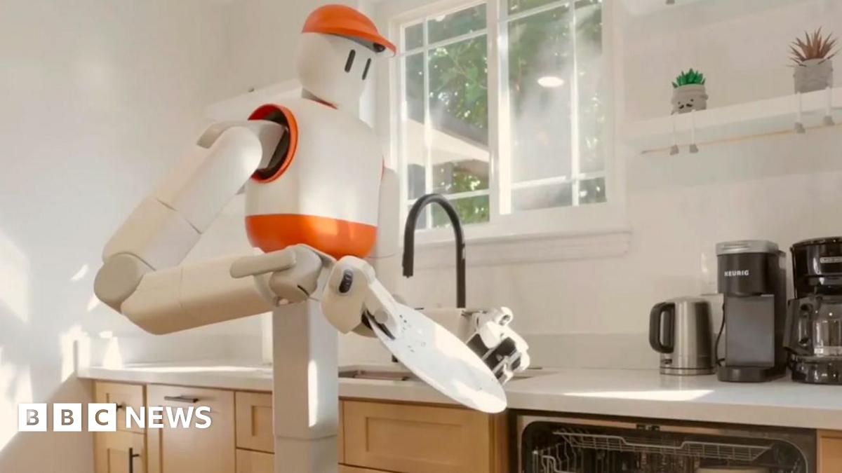 Is this the year domestic robots come in our homes?