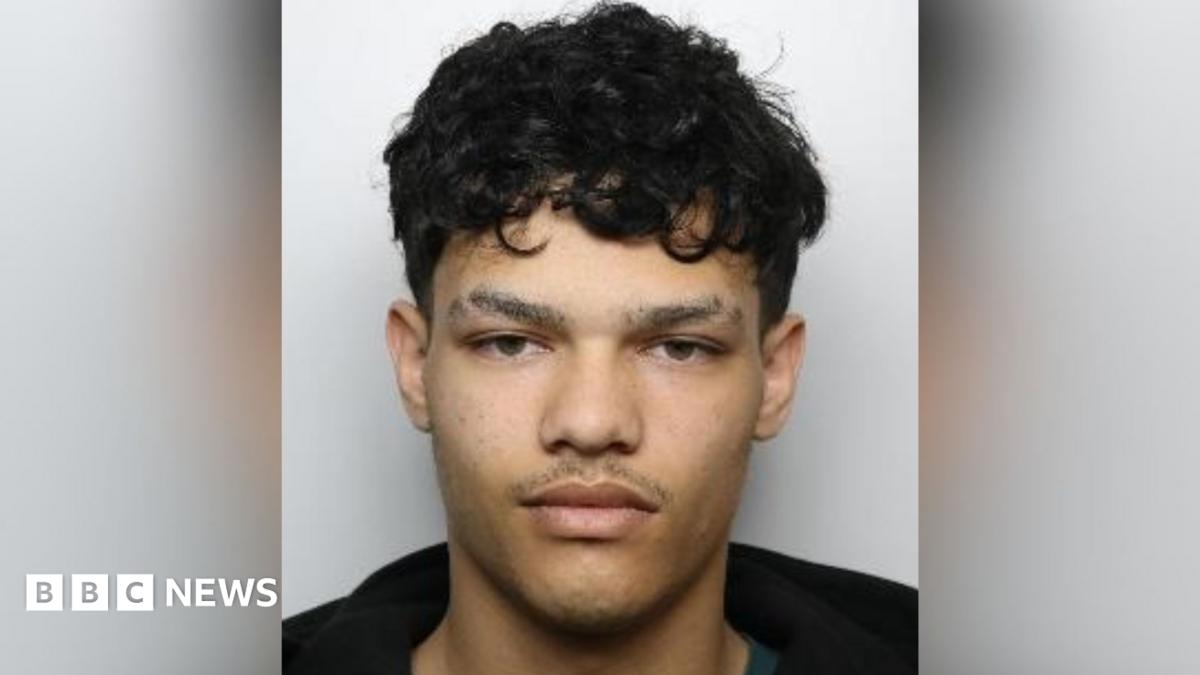 Sheffield man who encouraged girl to self-harm on Discord jailed