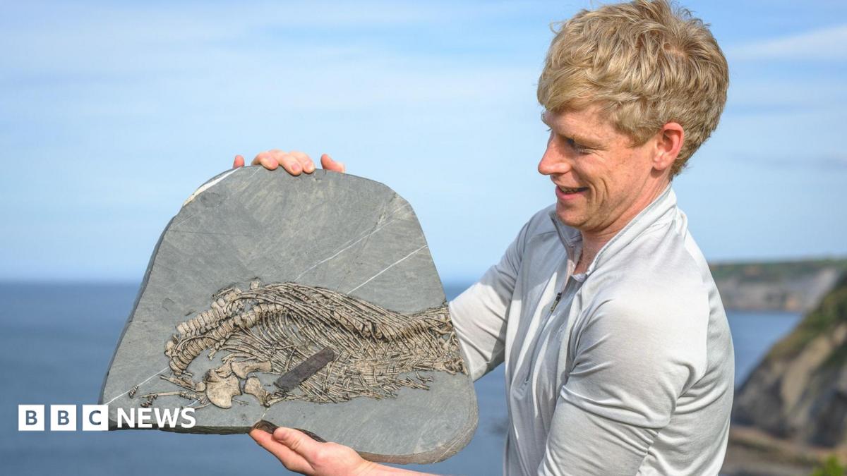 Mountaineer who took up fossil hunting after avalanche discovers rare 'sea dragon'