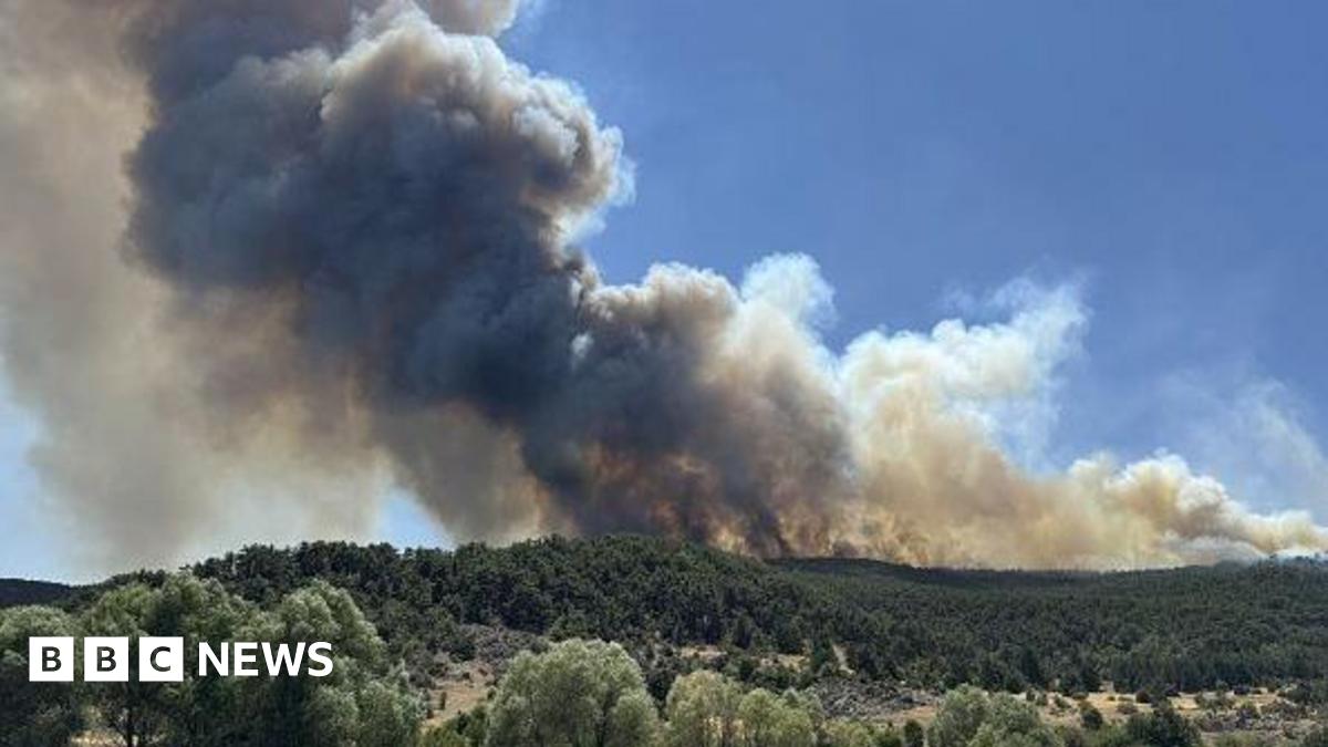 Ten workers killed battling wildfires in Turkey