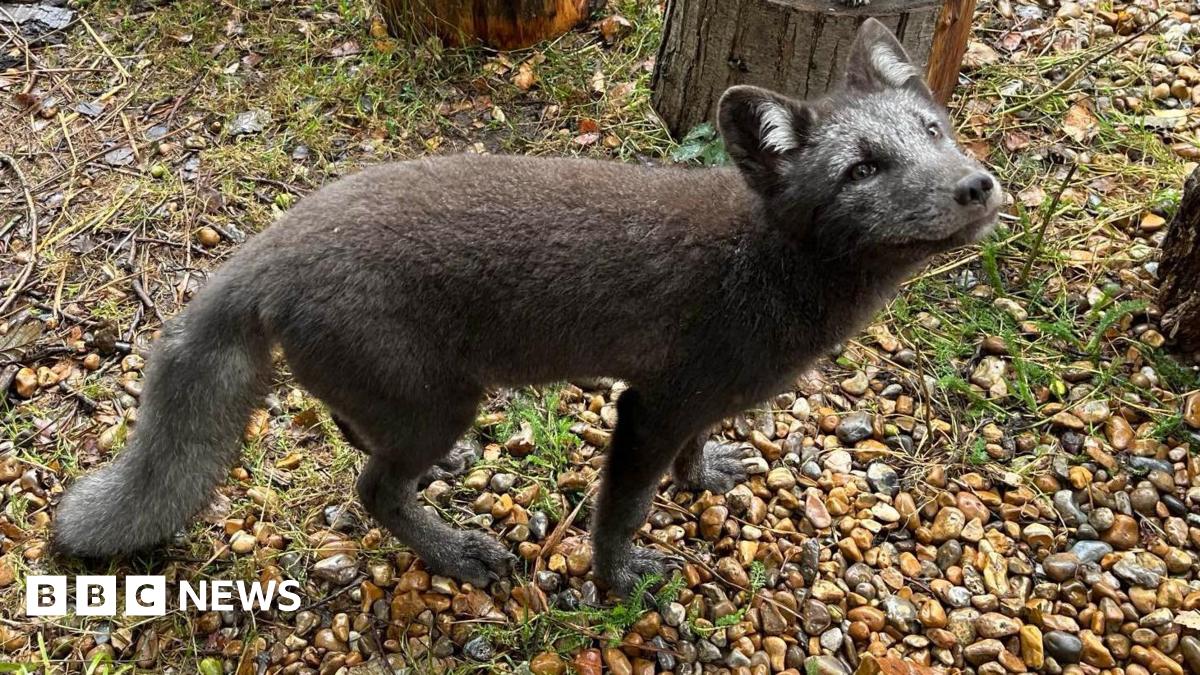 8c60ded0-70f2-11ef-a943-