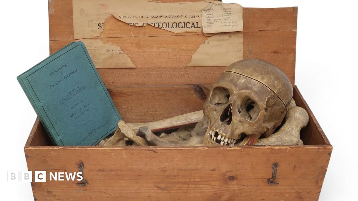 Anita Manning's auction house criticised for offering human remains
