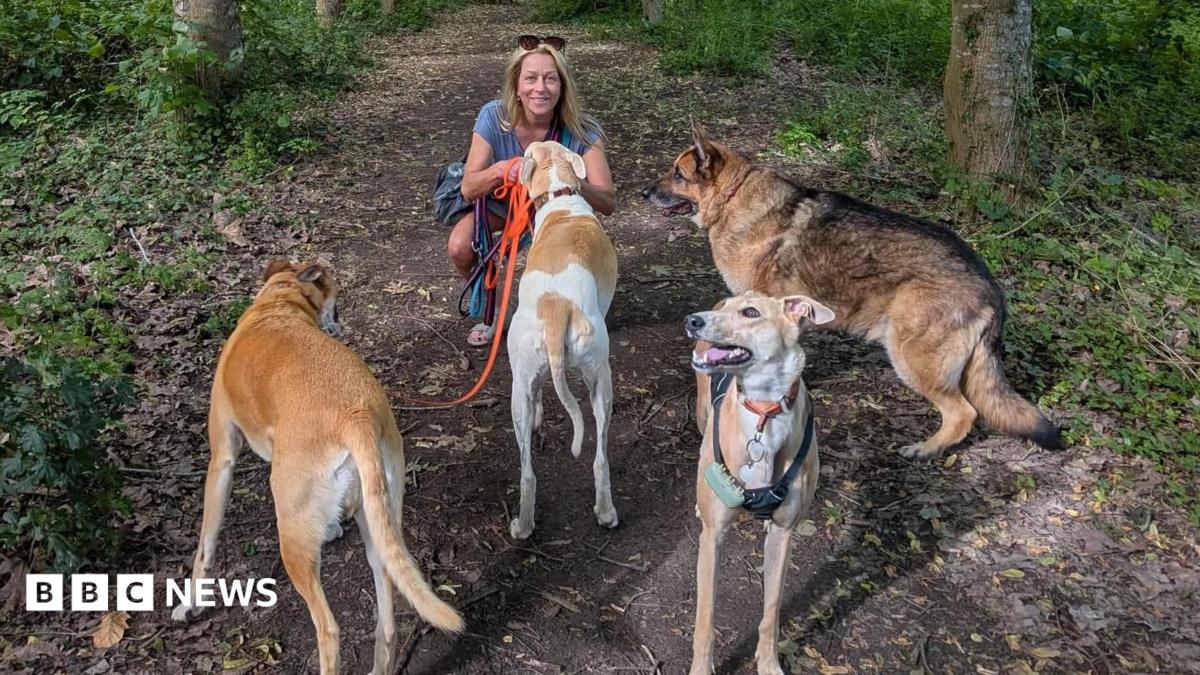 Warwick climb-down on divisive changes to dogs on leads