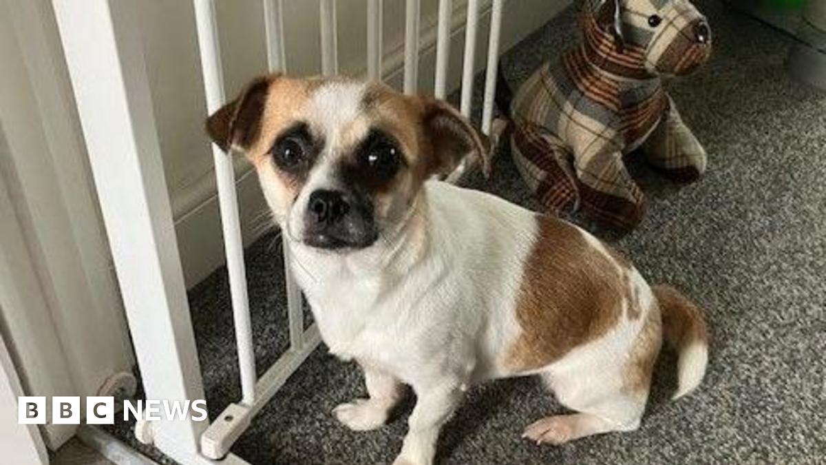 d189ec10-77f3-11ef-bf5c-