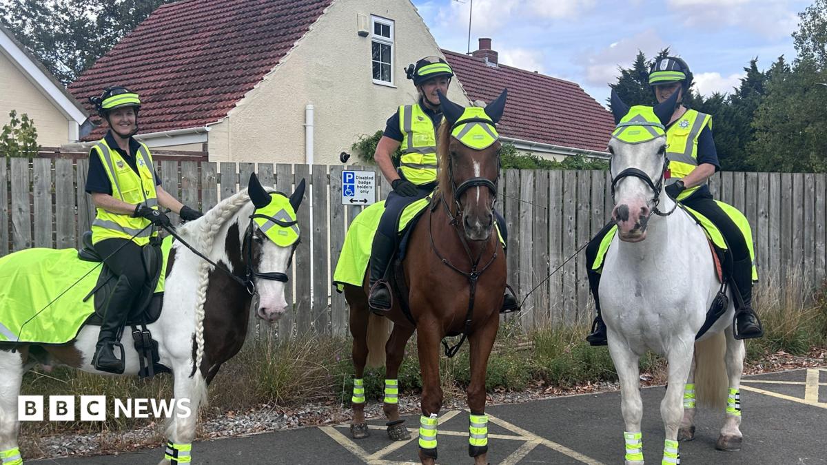 Humberside Police's mounted volunteer team doubles in size