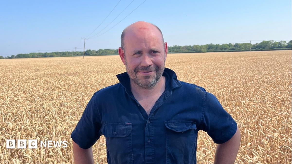 Harvesting is too dangerous, says Cambridgeshire farmer