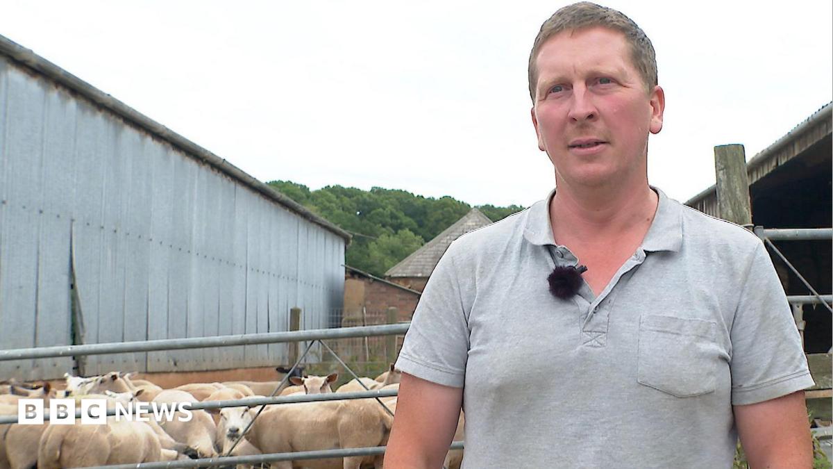 Devon farmer’s dismay as 81 lambs disappear from fields   www.bbc.co.uk