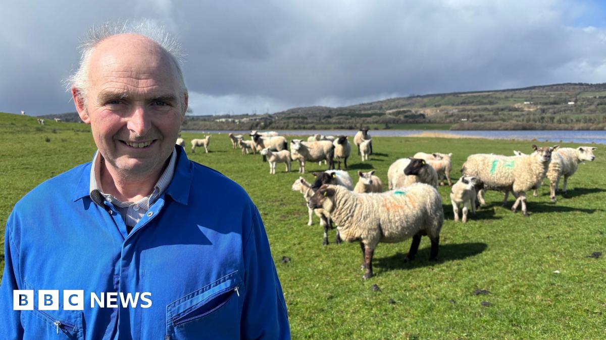 bbc.co.uk - Elaine Mitchell  - Farming NI: Changes to lamb tail docking would add 'financial hardship