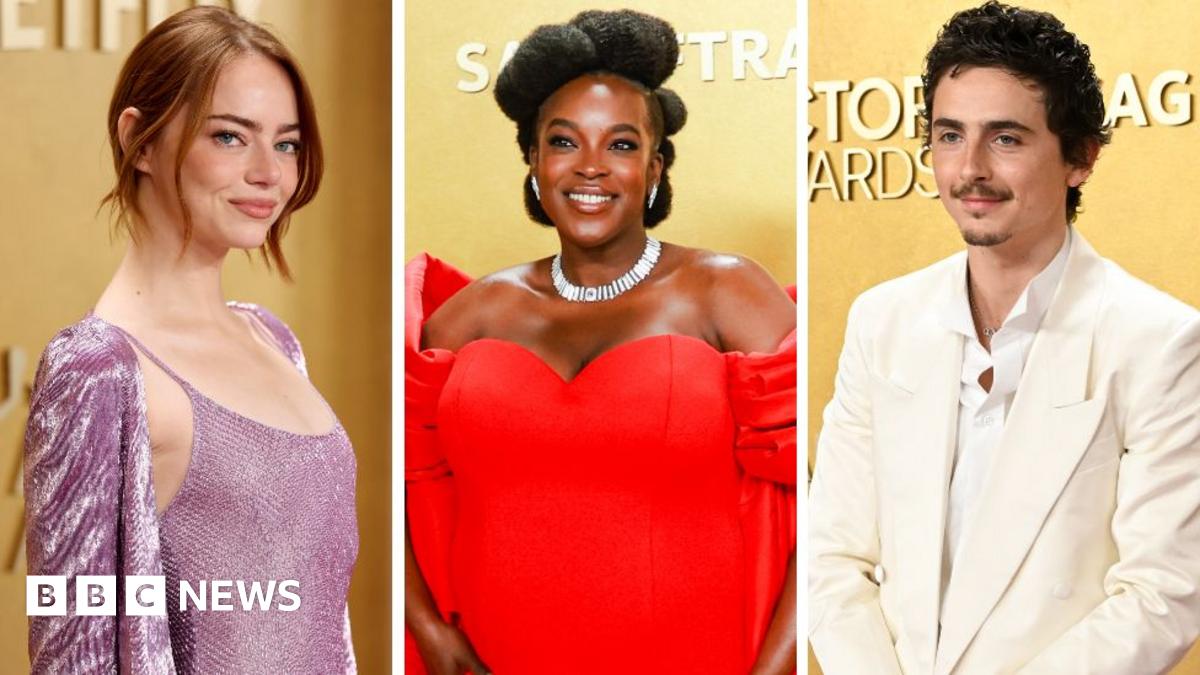 
                            Actor Awards red carpet: Timothée Chalamet, Emma Stone and Michael B Jordan