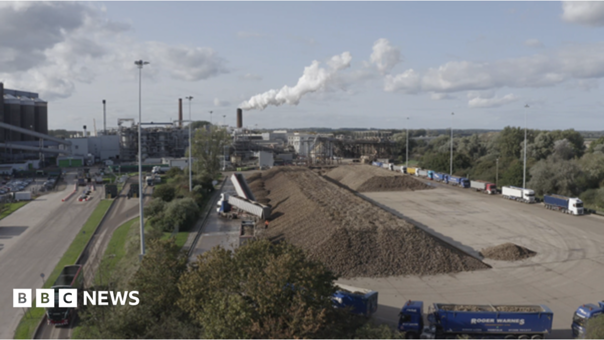 The Norfolk sugar factory processing 20,000 tonnes a day