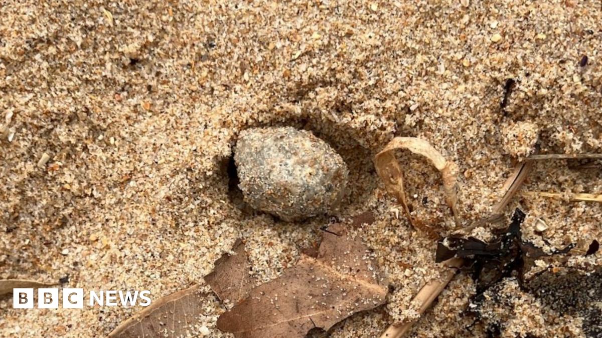 Sydney Beaches Shut Down: Mystery of Marble-Sized Balls Solved