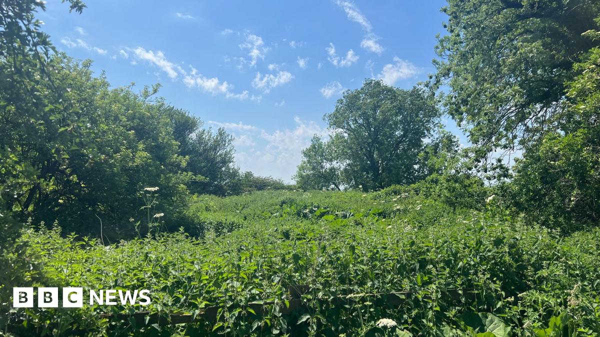 Derbyshire council threatens to seize land for travellers