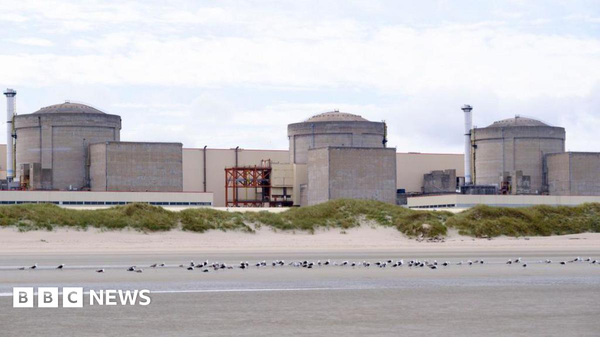 Jellyfish force partial shutdown of French nuclear plant