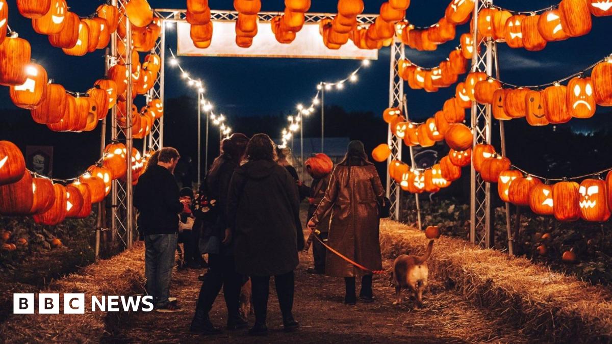 Bristol in Pictures: Halloween prep, autumn surfing and awards