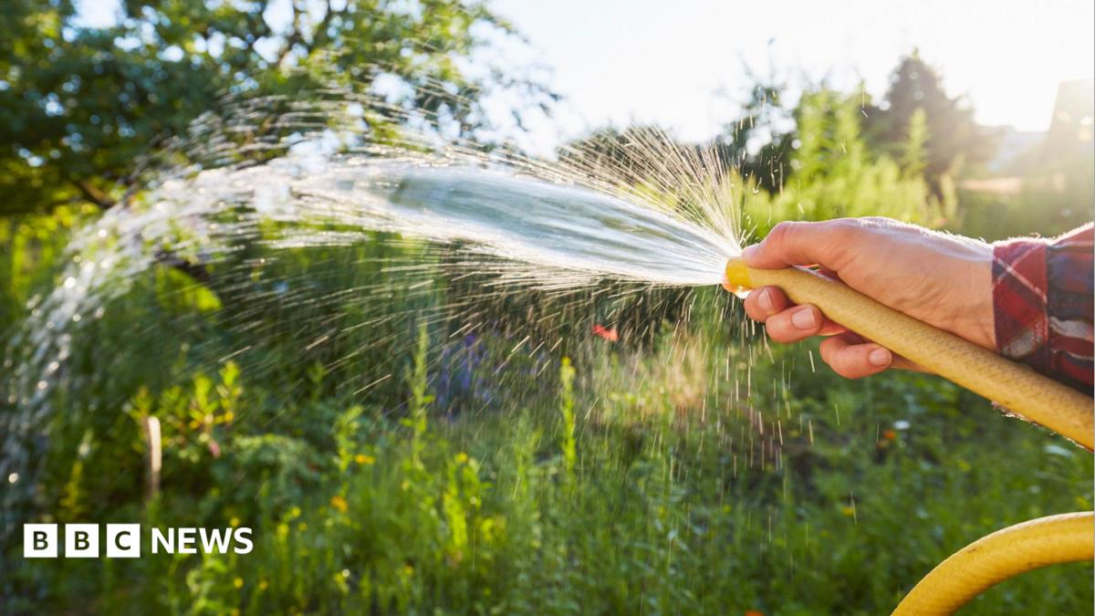 Hosepipe ban across Republic of Ireland but NI avoids same precaution