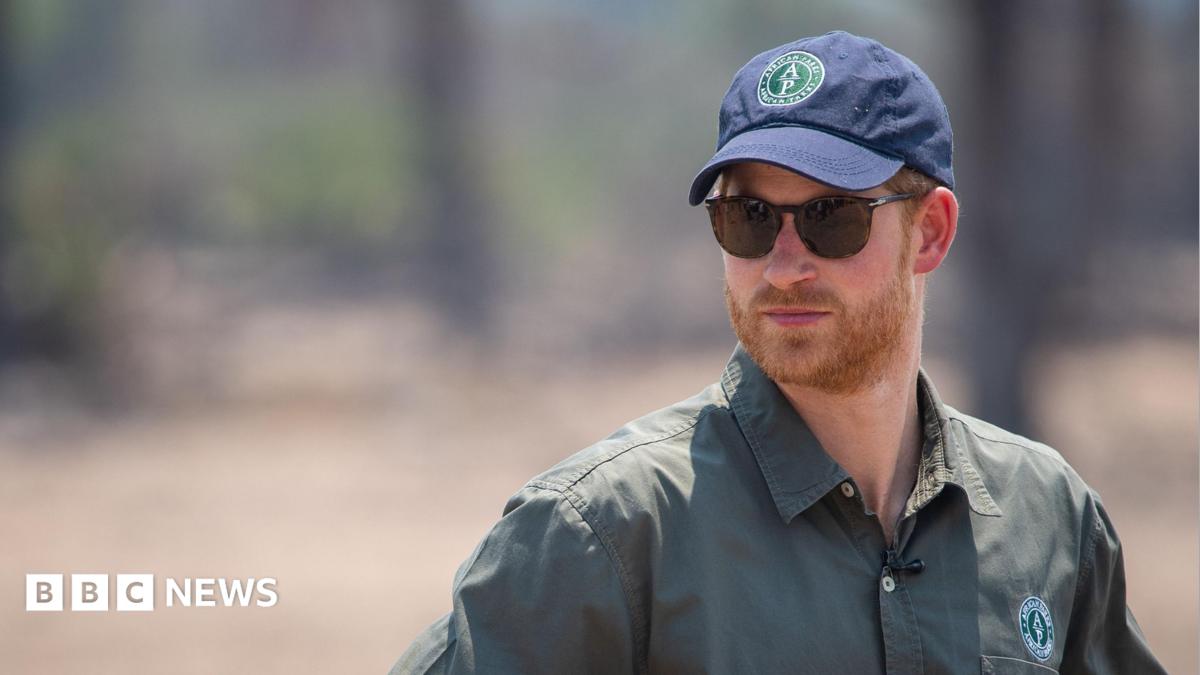 Prince Harry steps down from African wildlife charity board