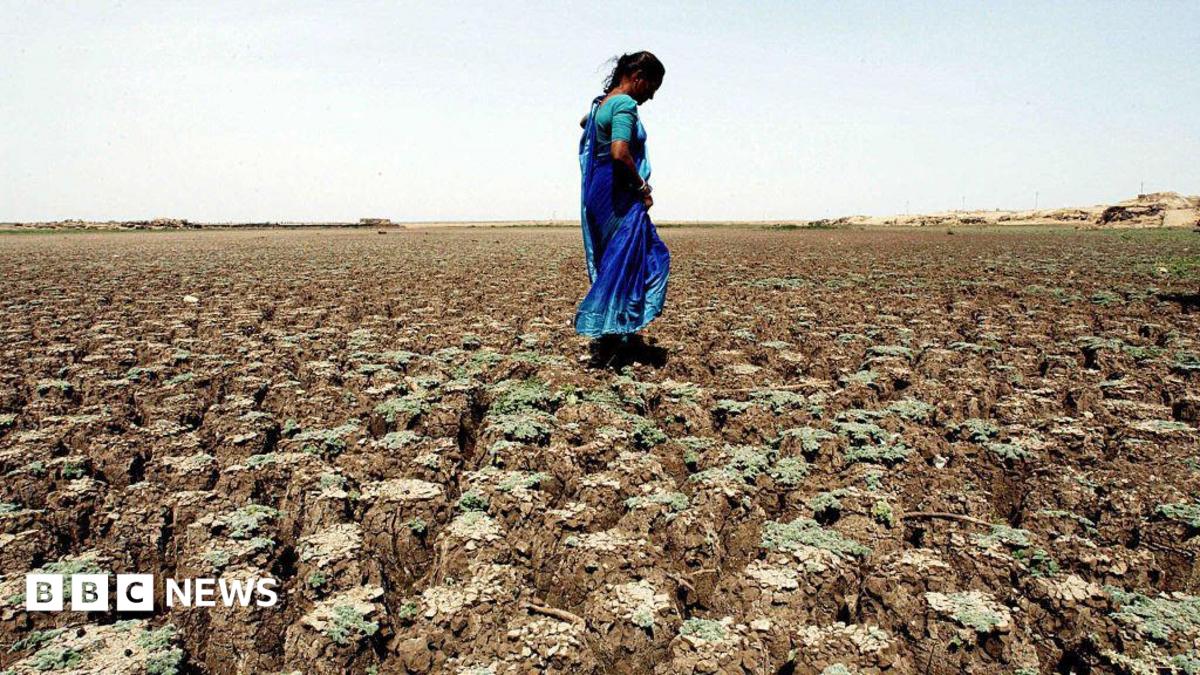 Farming worries after India records driest June in over a decade