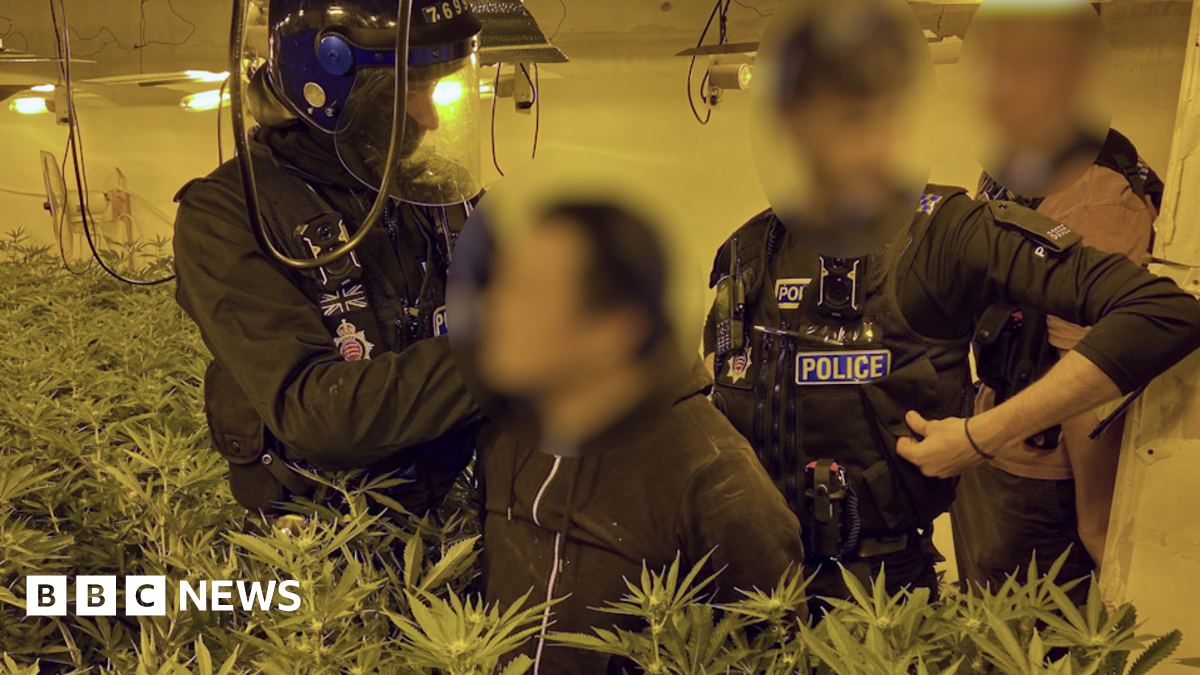 bbc.co.uk - Cannabis worth an estimated &pound;3m found at Basildon warehouse