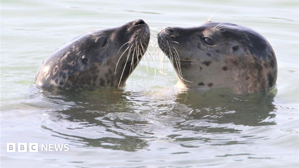 Outdoor photography exhibition celebrates Sussex wildlife