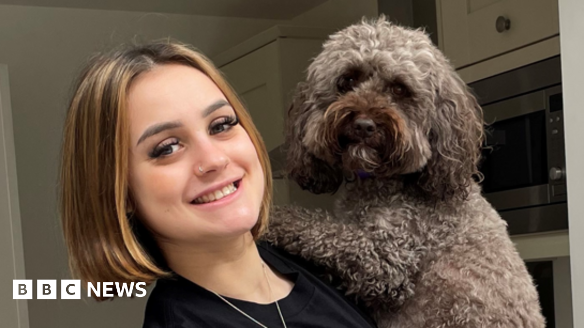 Lauren Evans: Murdered student nurse was adored, says family - BBC News