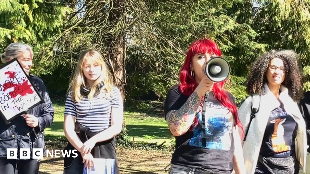 Protest after birds attacked with catapults in south London park. - BBC ...