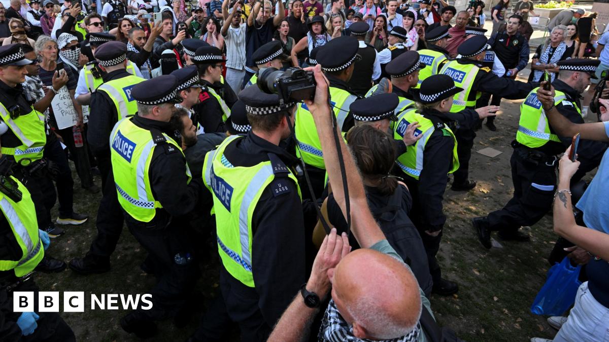 Police officers detain a protester during a rally aimed at challenging the government's proscription of Palestine Action under anti-terrorism laws, in in London, Britain on 9 August. The picture shows a cluster of police in high-vis jackets, holding a...