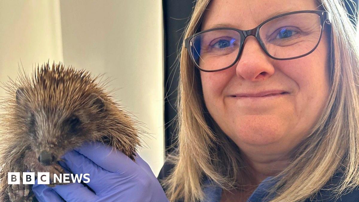 Sharon is holding up a hedgehog to the camera. She has shoulder-legth blonde hair and is wearing black rimmed glasses. She is smiling at the camera and wearing blue rubber gloves.