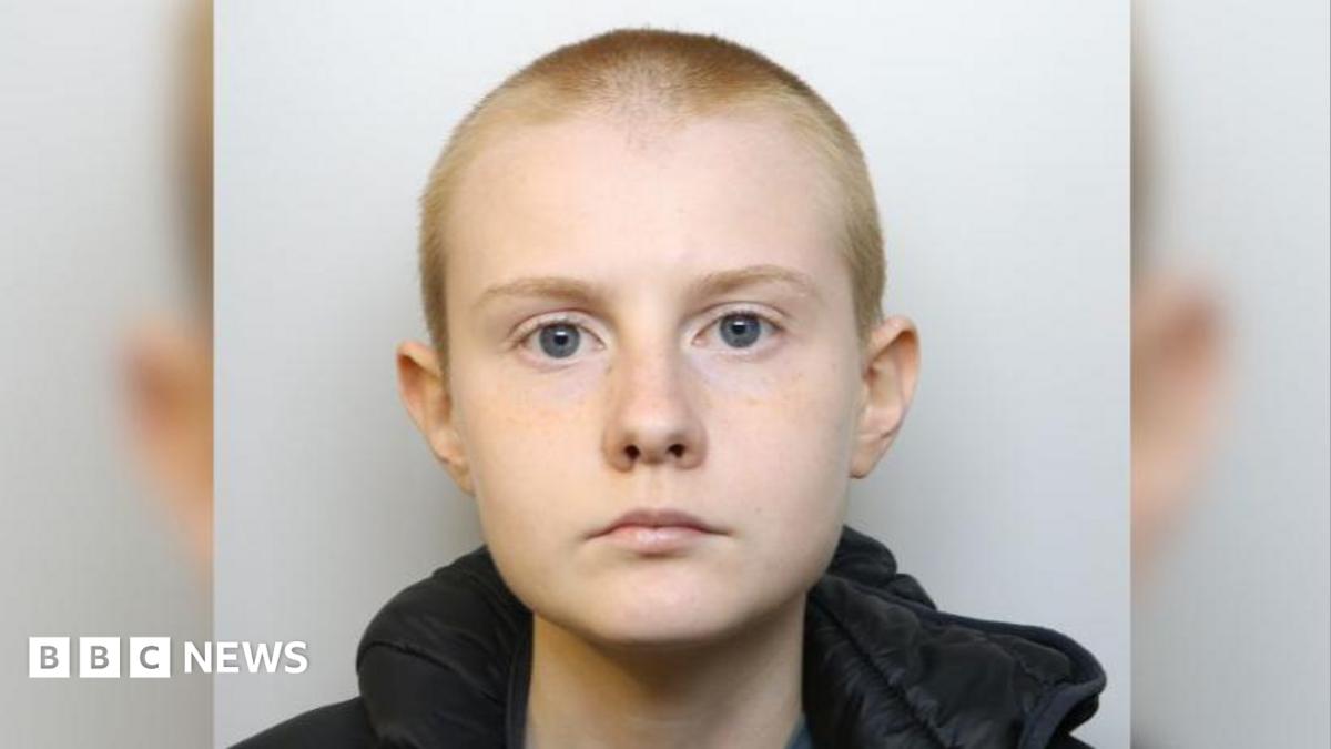 Alina Burns is a young woman with a shaved head. The image is a police mugshot. 