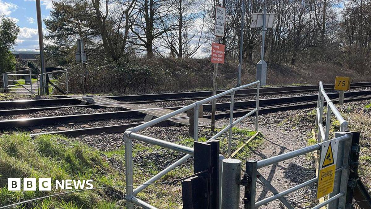 Tragedy at the Tracks: The Silent Peril of Level Crossings for Vulnerable Pedestrians
