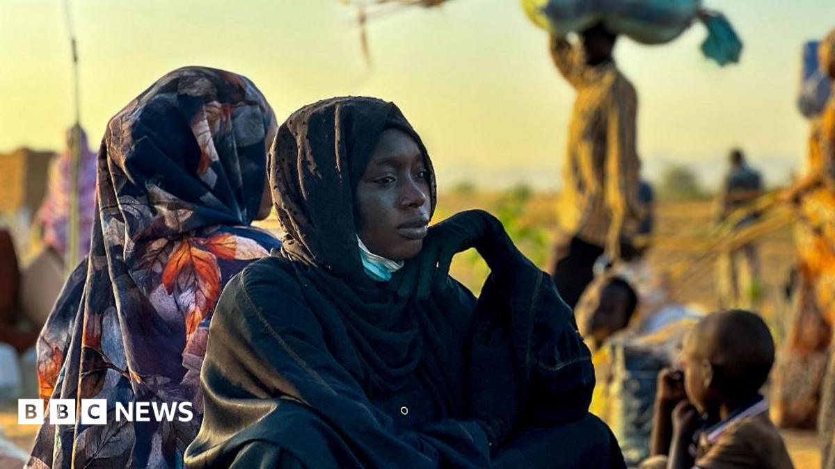 Sudan war: RSF committed crimes against humanity in el-Fasher, Amnesty says Sudan war: RSF committed crimes against humanity in el-Fasher, Amnesty says