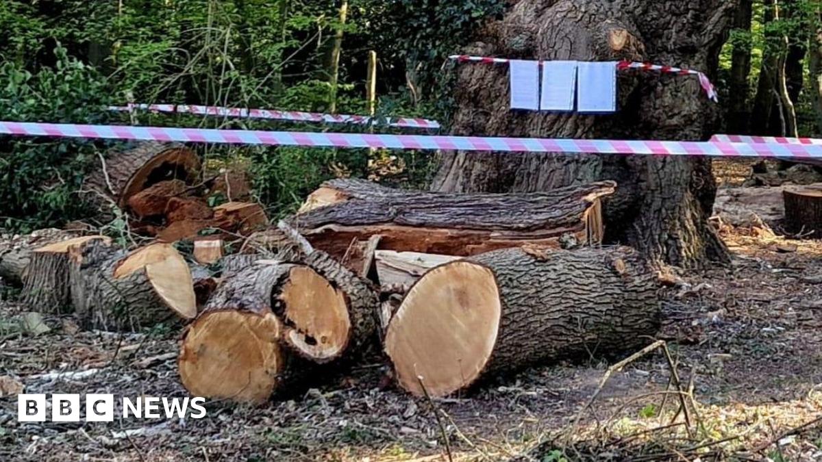 www.bbc.co.uk
