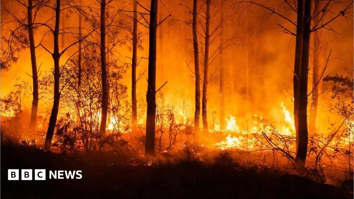 Image via bbc.co.uk