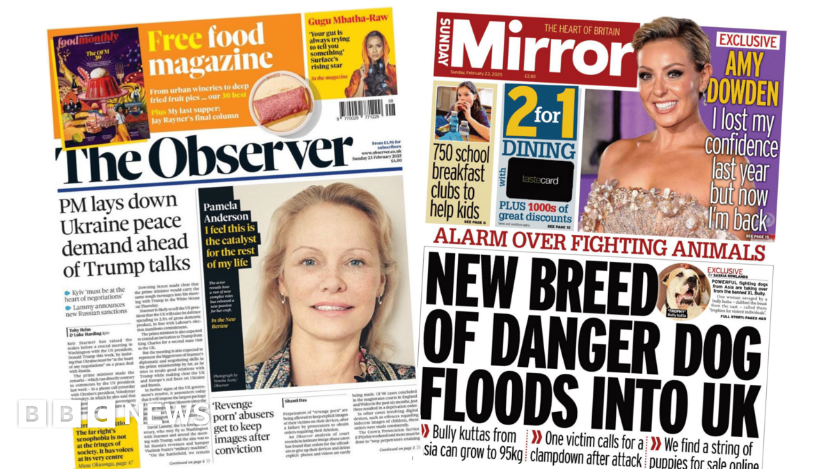 Newspaper headlines: ‘PM lays down peace demand’ and ‘New breed of danger dogs’