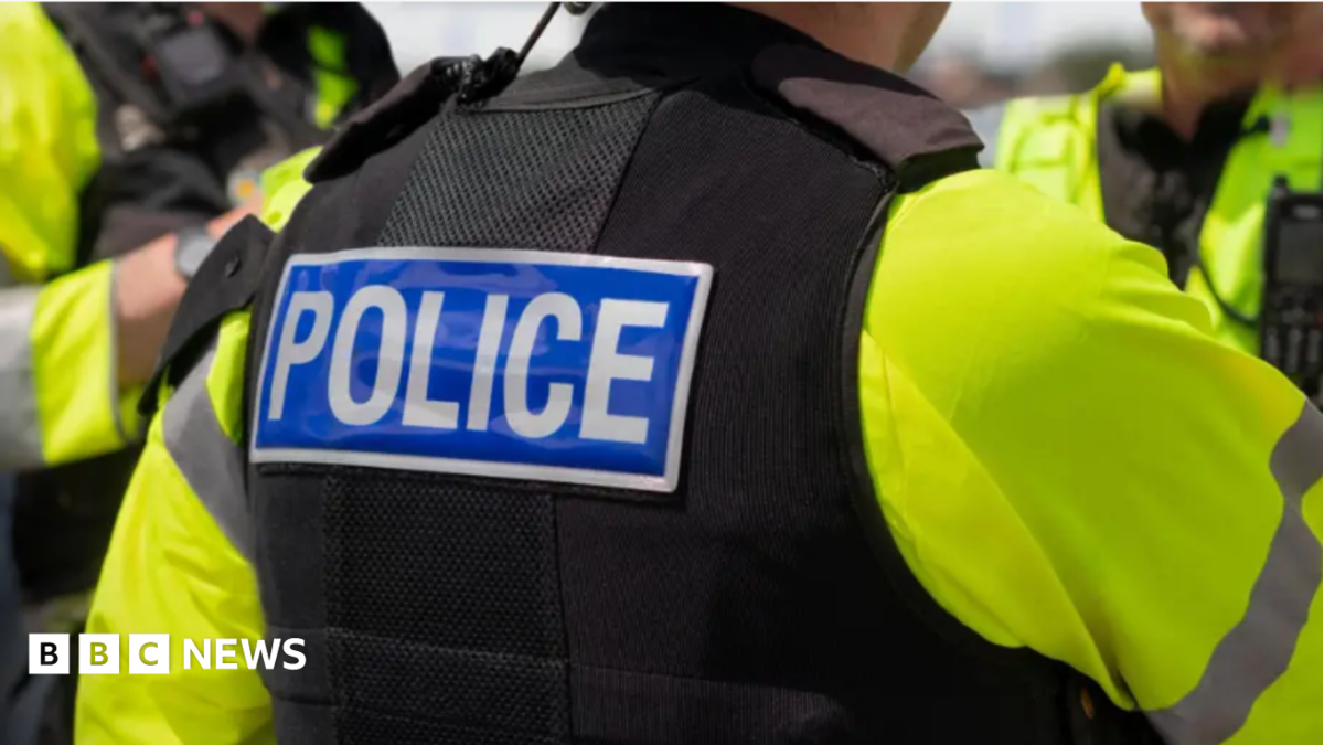 Somerset police inspector was 'chaser of young women', hearing told