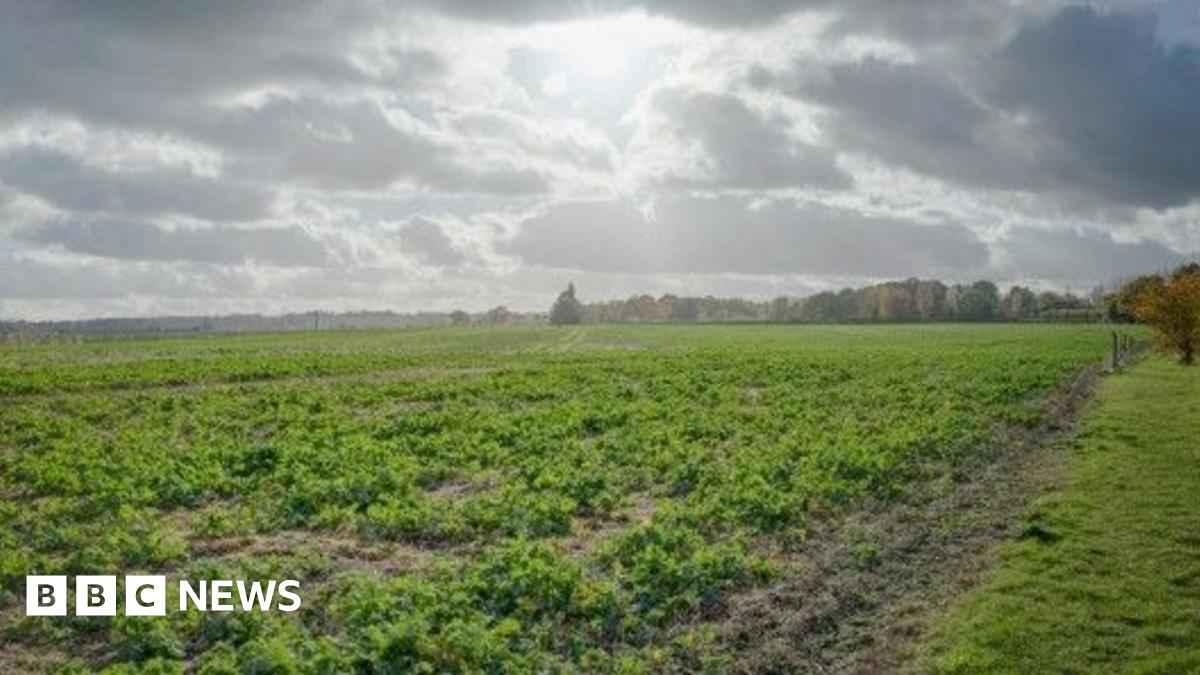 Escalating Hamden drama