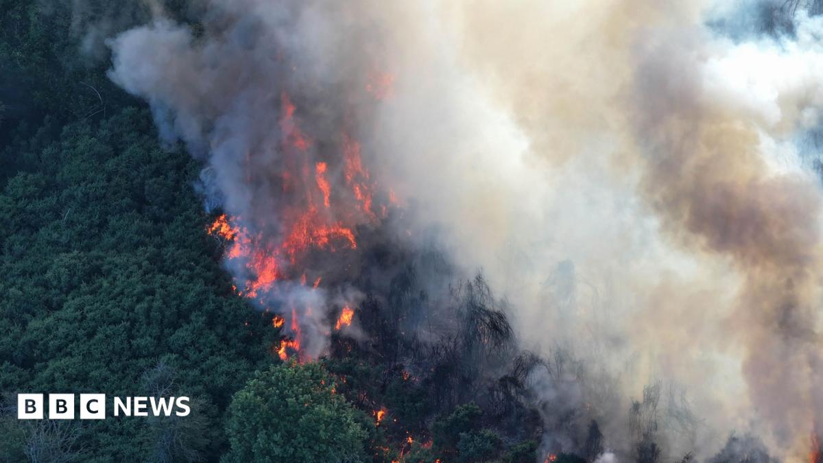 Hot weather sparks severe wildfire warnings in the South East