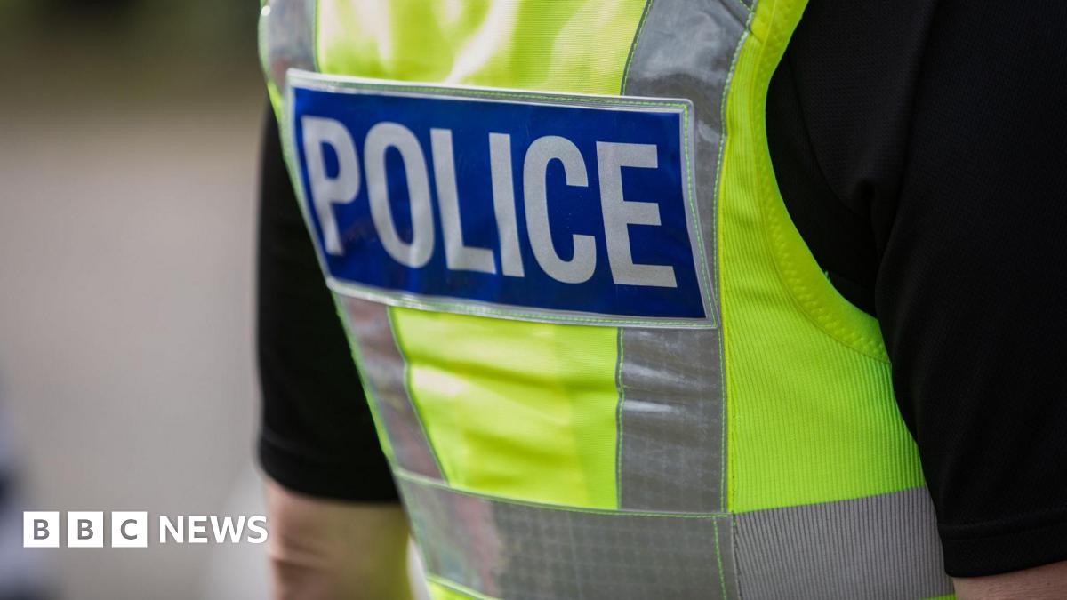 Former parliamentary employee arrested under anti-hacking law