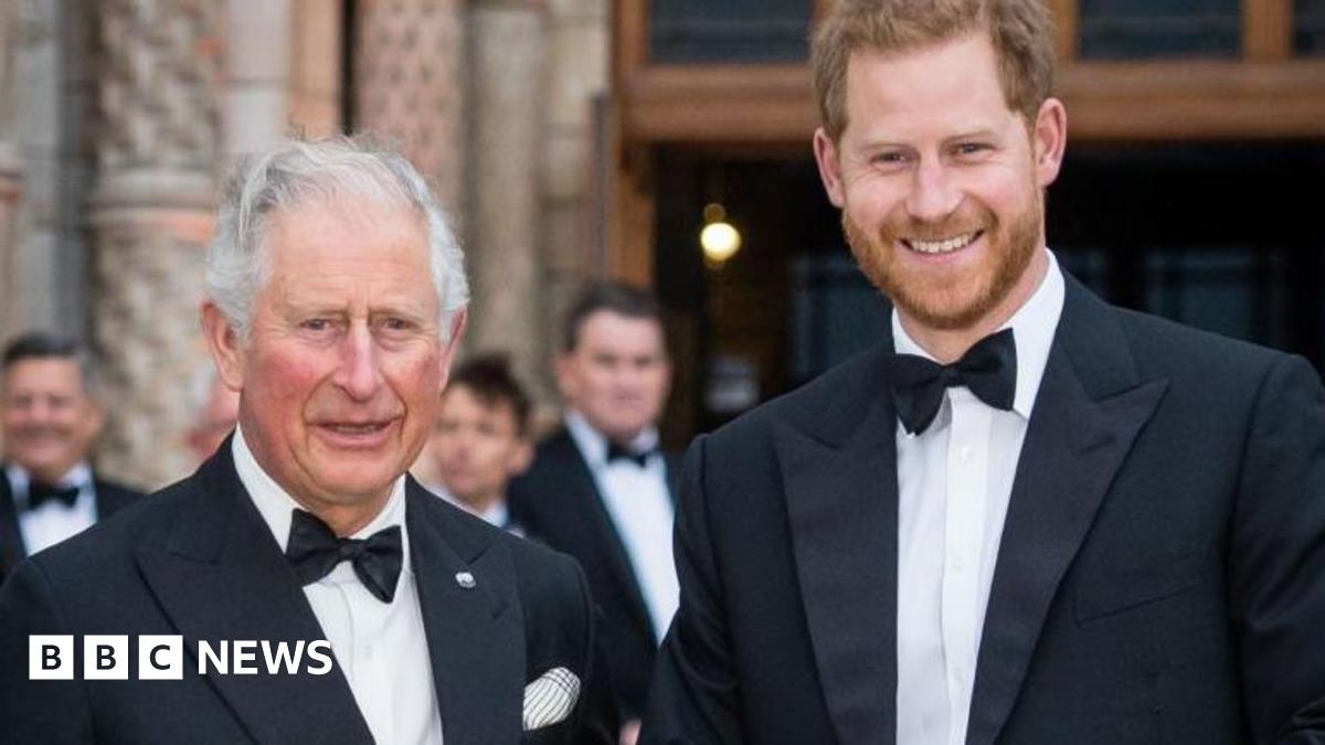 
                            Prince Harry not planning to meet King on next trip to the UK