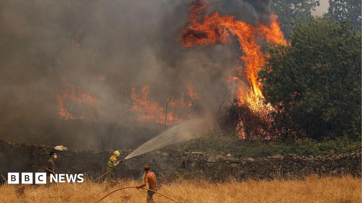 Spanish PM warns of ‘complex hours’ ahead as wildfires displace 270,000 in Spain and France – follow live