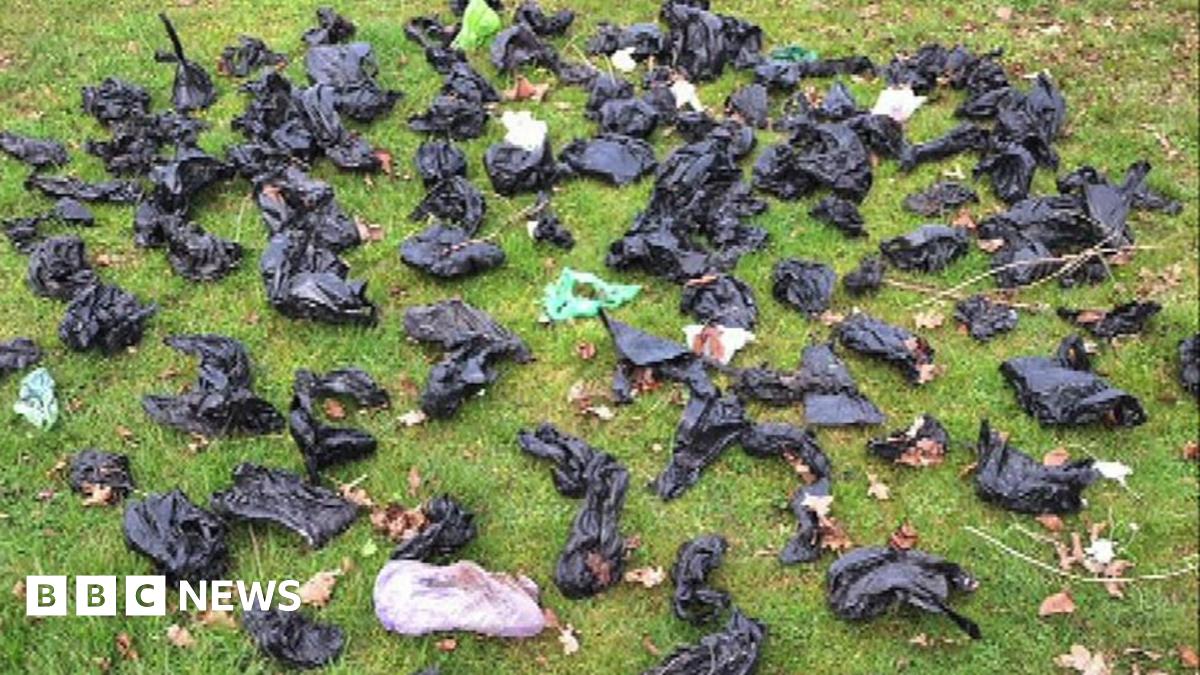 Volunteers clear 156 dog poo bags from Scunthorpe playing fields