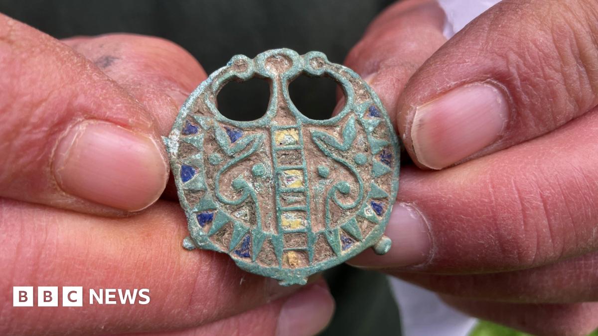 Metal Detectorist Unearths Rare 2,000-Year-Old Brooch in Dorset Field