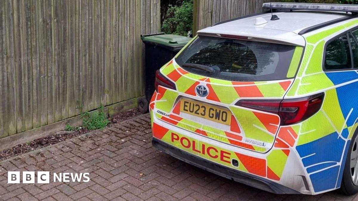 Woman, 19, dies and man arrested after dog attack at house in Essex, UK