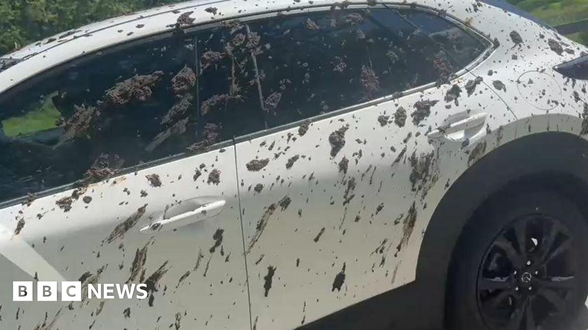 Lake District parked cars covered in slurry