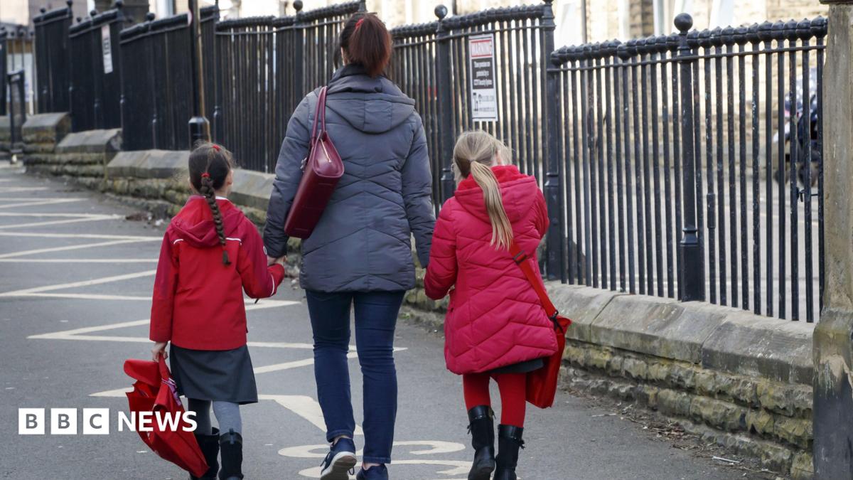 Pupils asked to walk to school through army firing range, MP claims