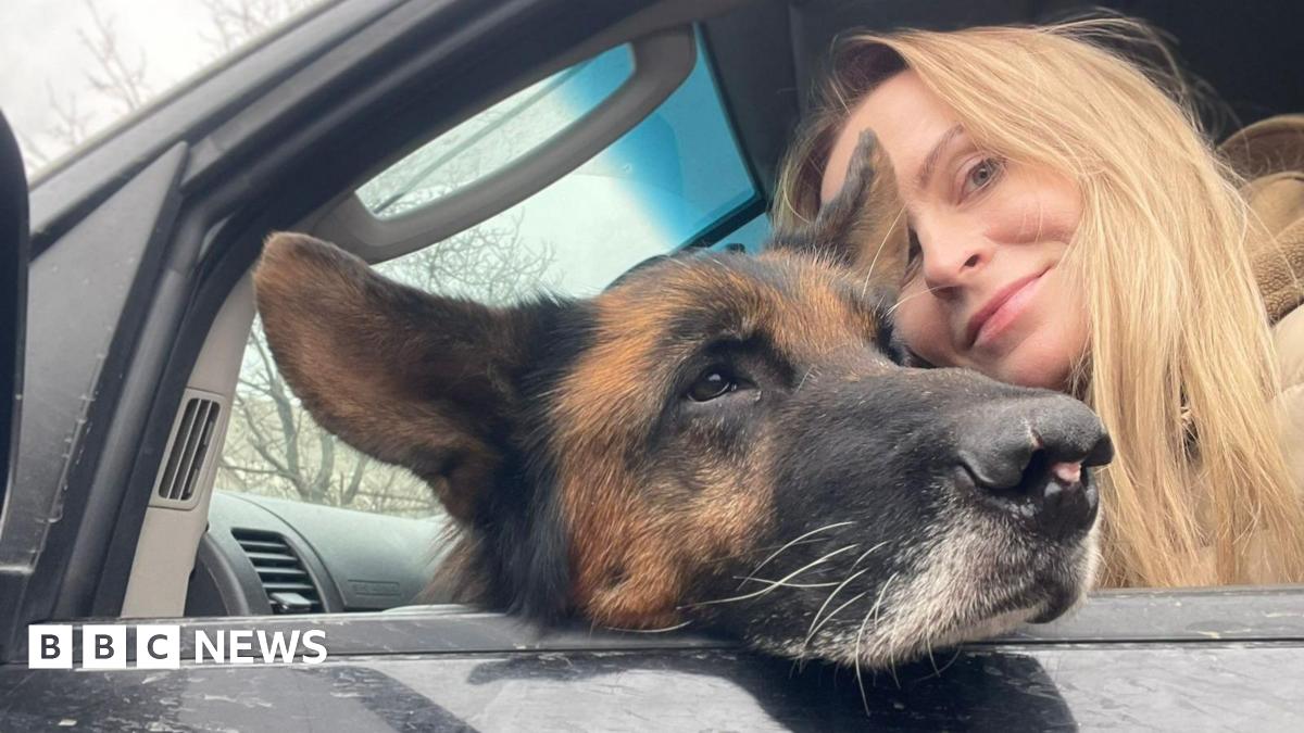 'Animals are traumatised too': Pet rescuers under fire in Ukraine