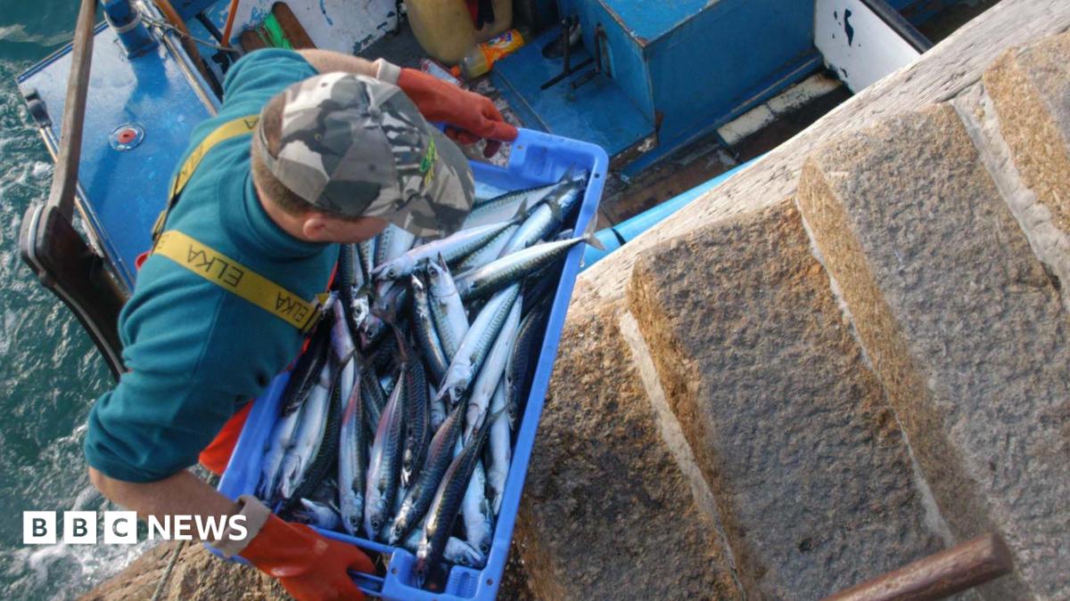 Crucial' Newlyn marine skills centre opens to train fishers