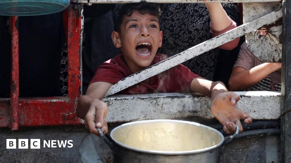 Gaza Faces Dire Food Crisis: Trump Proposes US-Led Food Centers Amidst Malnutrition Surge