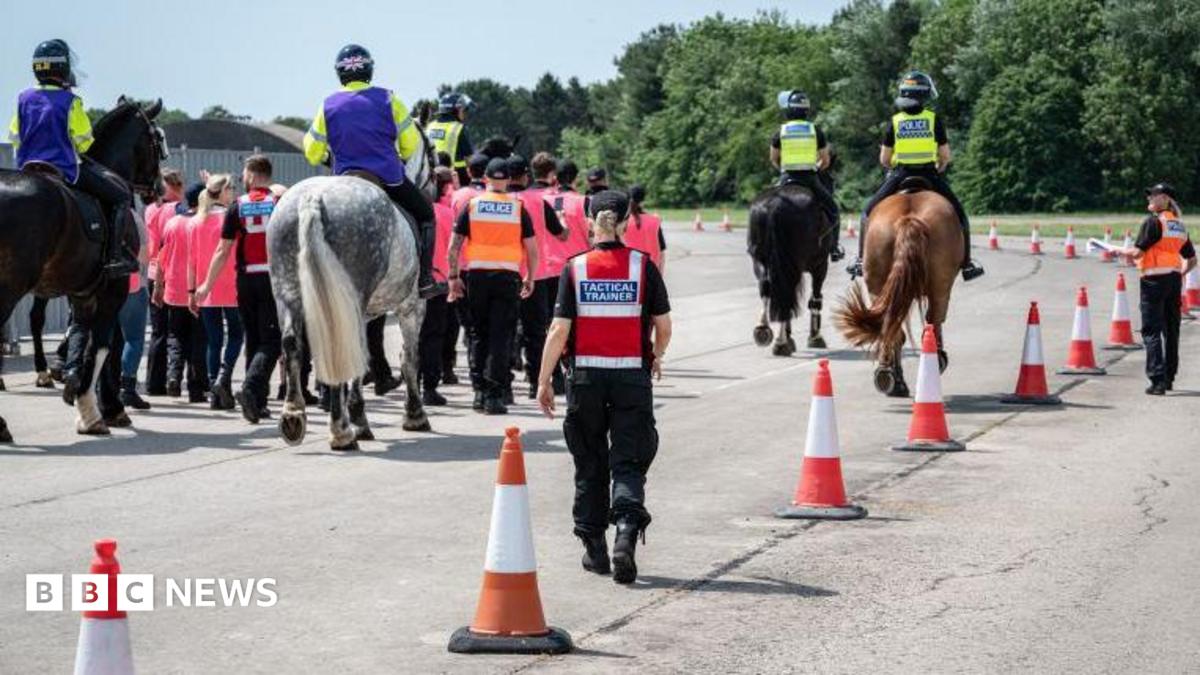 mounted police